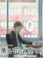城市夜跑 竞技综艺在线看